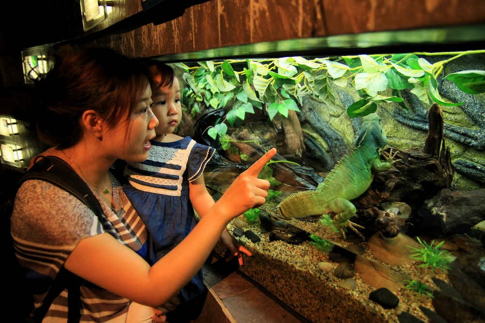 水族馆内真奇妙 摄影 沧海一粟548