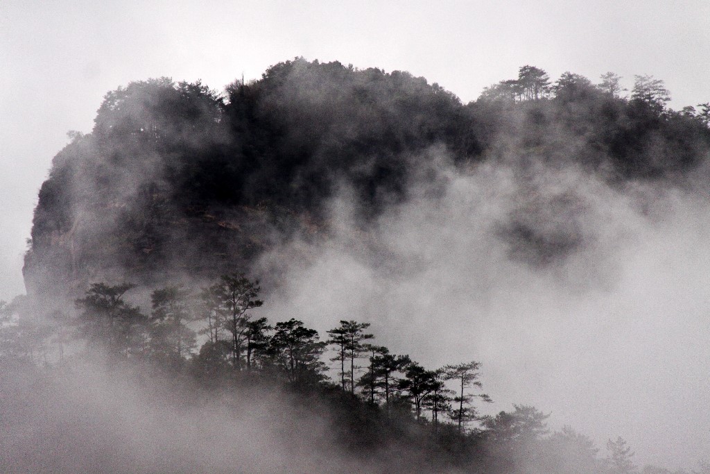 水墨武夷 摄影 神游物外