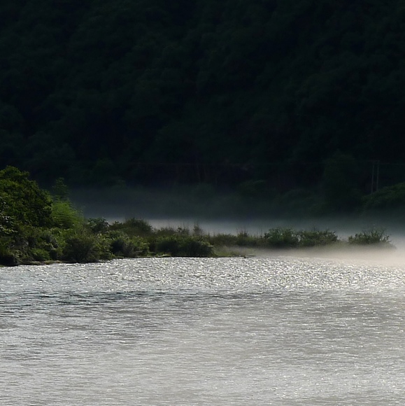 溪流 摄影 烂柯山