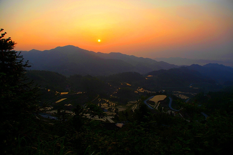 夏初的紫鹊界梯田 8 摄影 今日1115