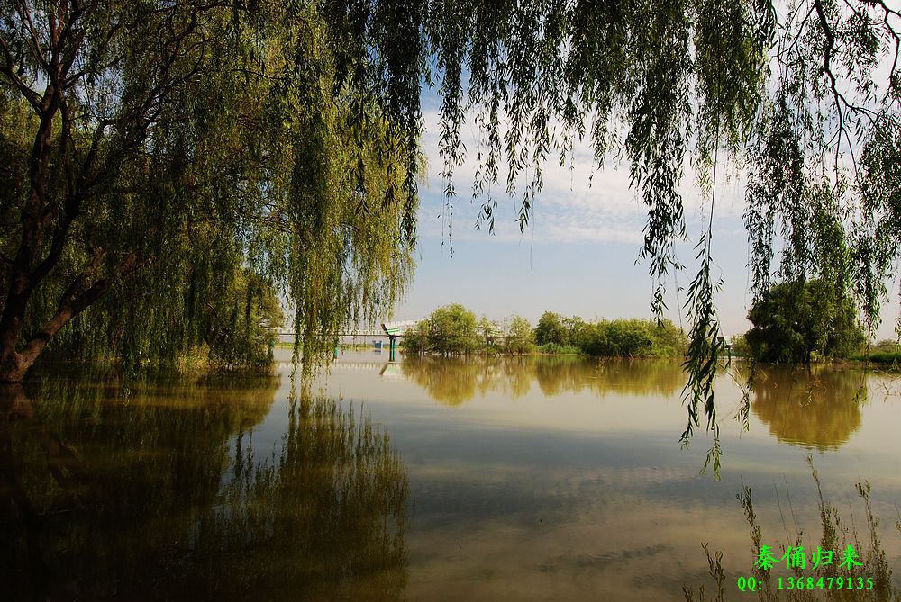 西安灞桥生态湿地1 摄影 秦岭骆驼