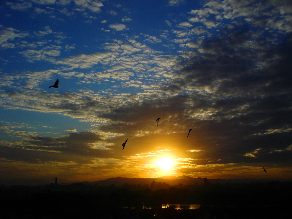 燕舞长空夕阳照 摄影 红星侍卫