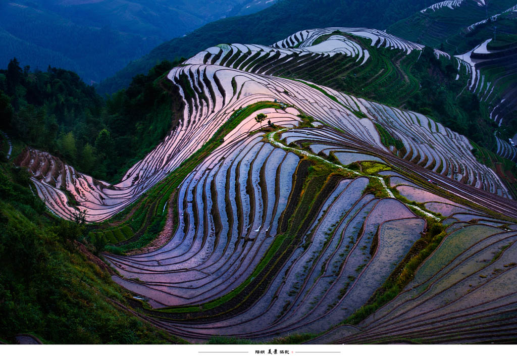 霞染龙脊 摄影 阳朔美景