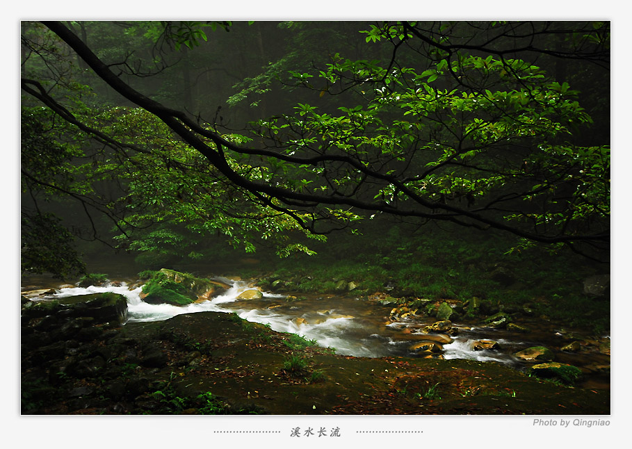 溪水长流 摄影 青鸟