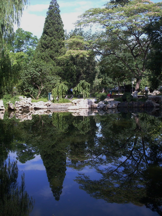 小池风光 摄影 红星侍卫