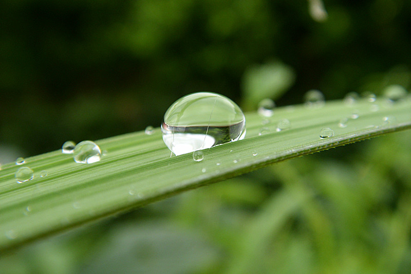 雨露 摄影 月满西窗