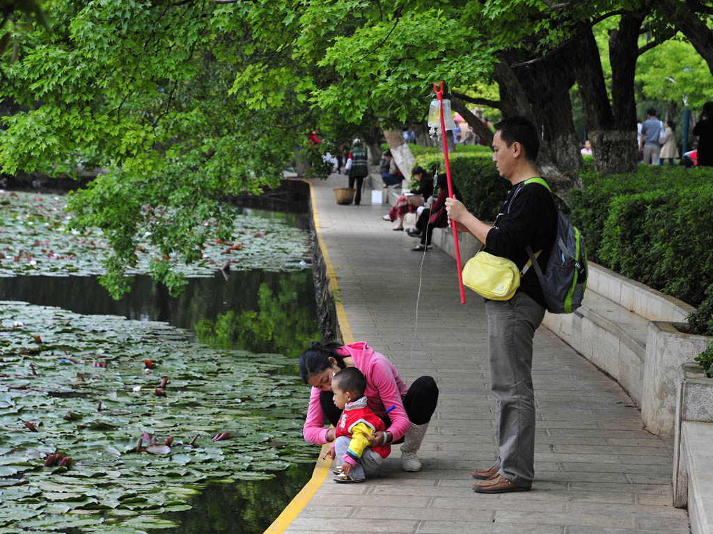 赏花 摄影 小小学徒