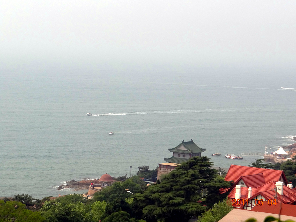 青岛水族馆海滨 摄影 精卫填海