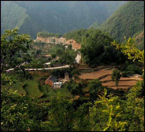乡村即景 摄影 早起的人