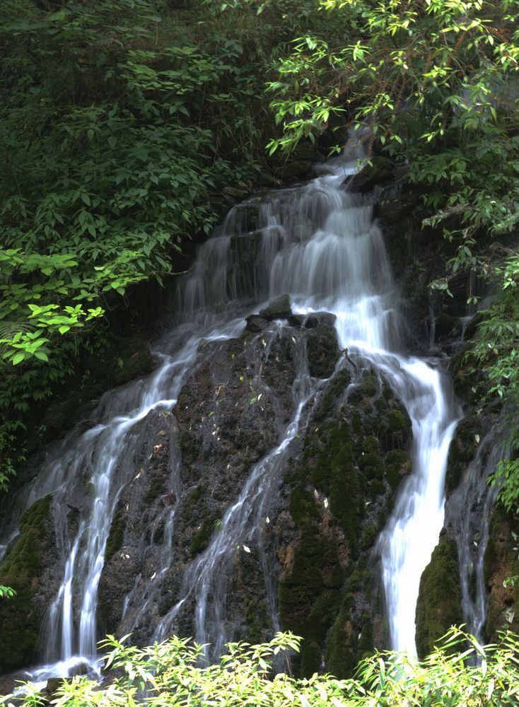 三峡人家景区 摄影 无欲则刚