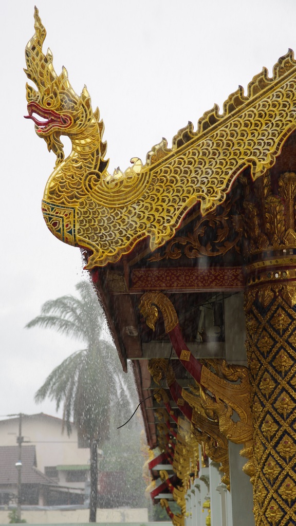 清迈·雨中帕辛寺 摄影 赵狐狸