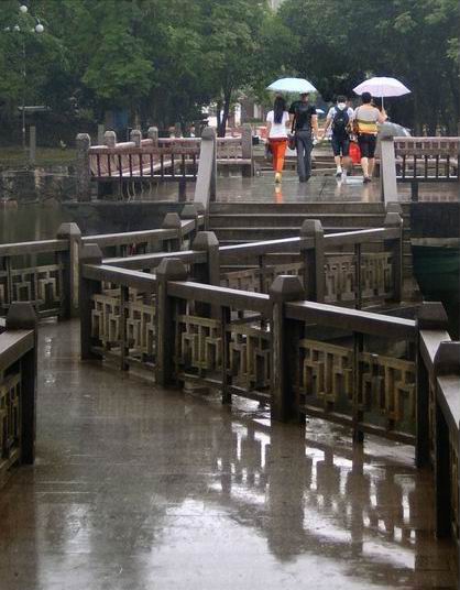 雨季，我们相伴而行 摄影 冷沙洲