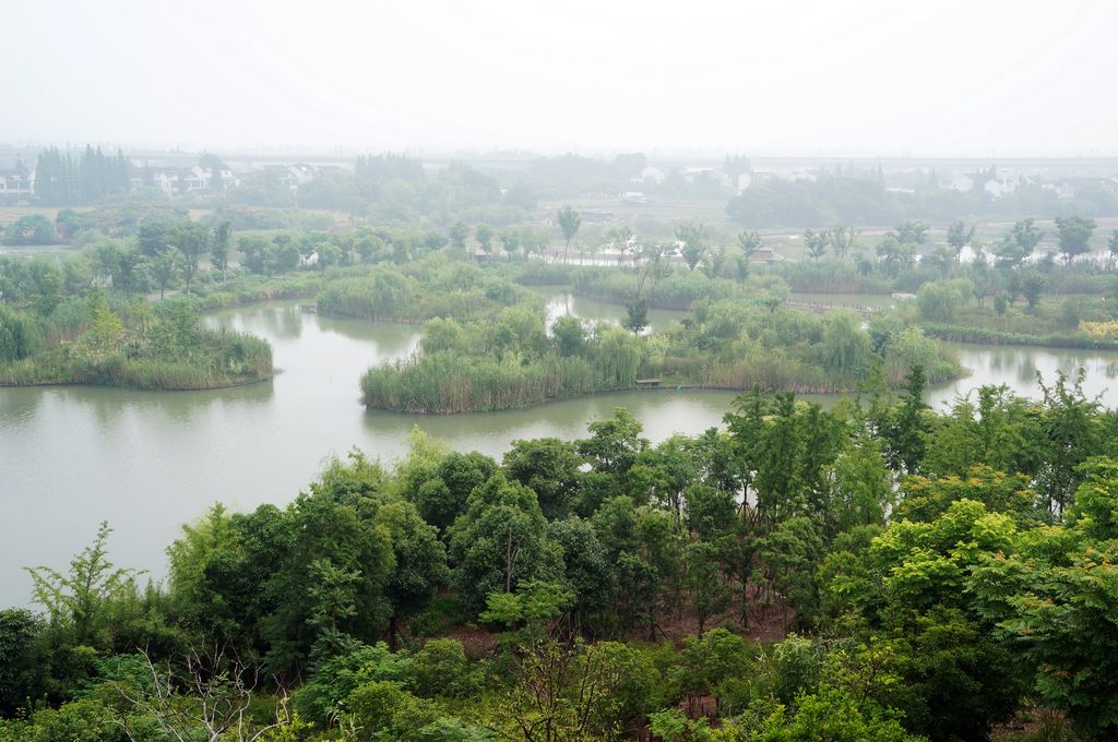 无锡梁鸿湿地公园 摄影 杨白老