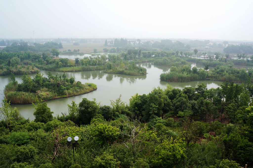 无锡梁鸿湿地公园 摄影 杨白老