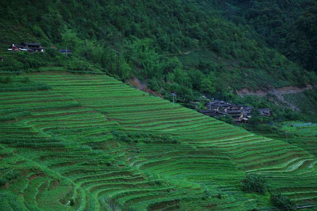 无量山小村寨！ 摄影 潇洒草