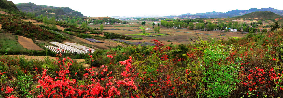 大山深处乡土春意浓 摄影 高原摄魂