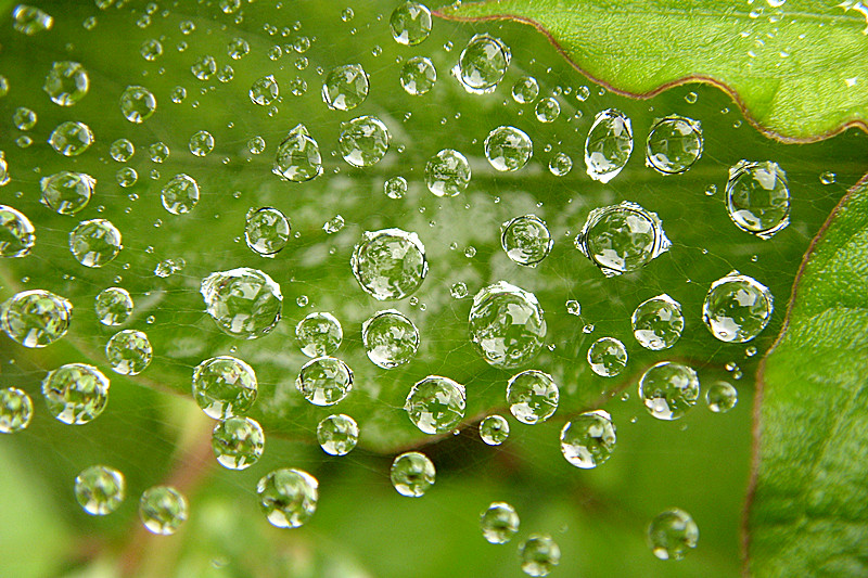 雨露 摄影 月满西窗