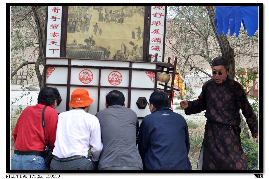 专注 摄影 闲鹤传说