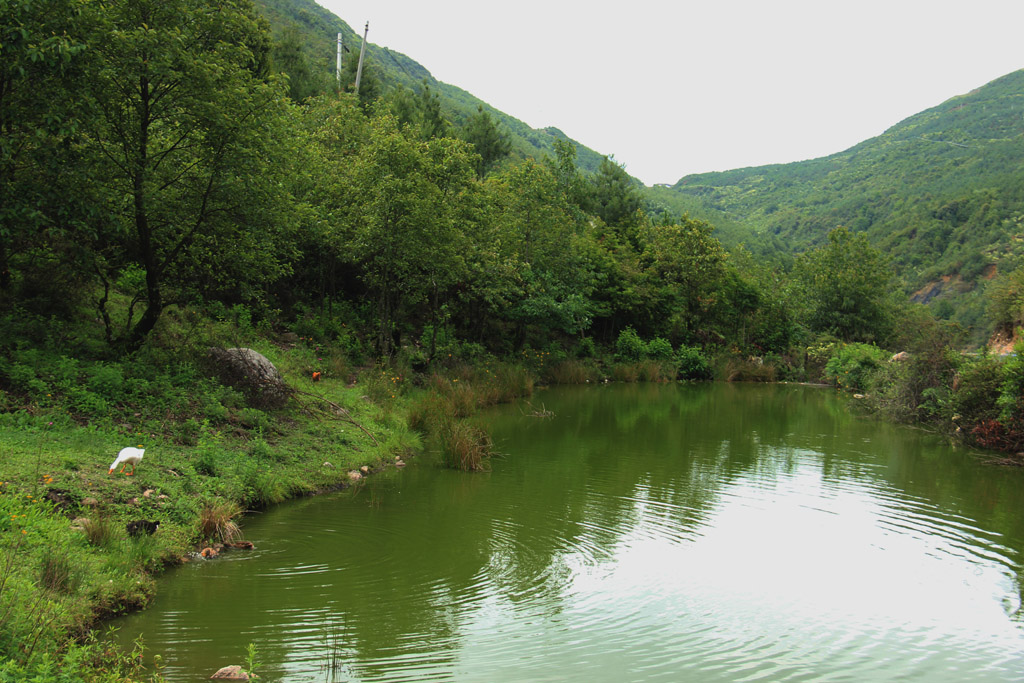 山村小景 摄影 漫卷西风