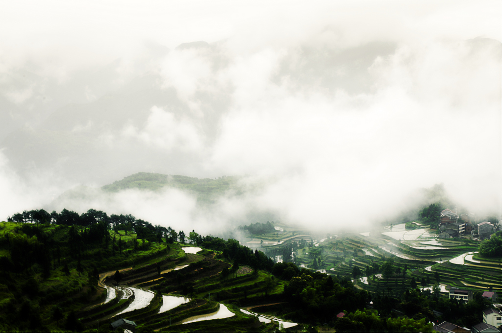 茗岙梯田 摄影 平仔