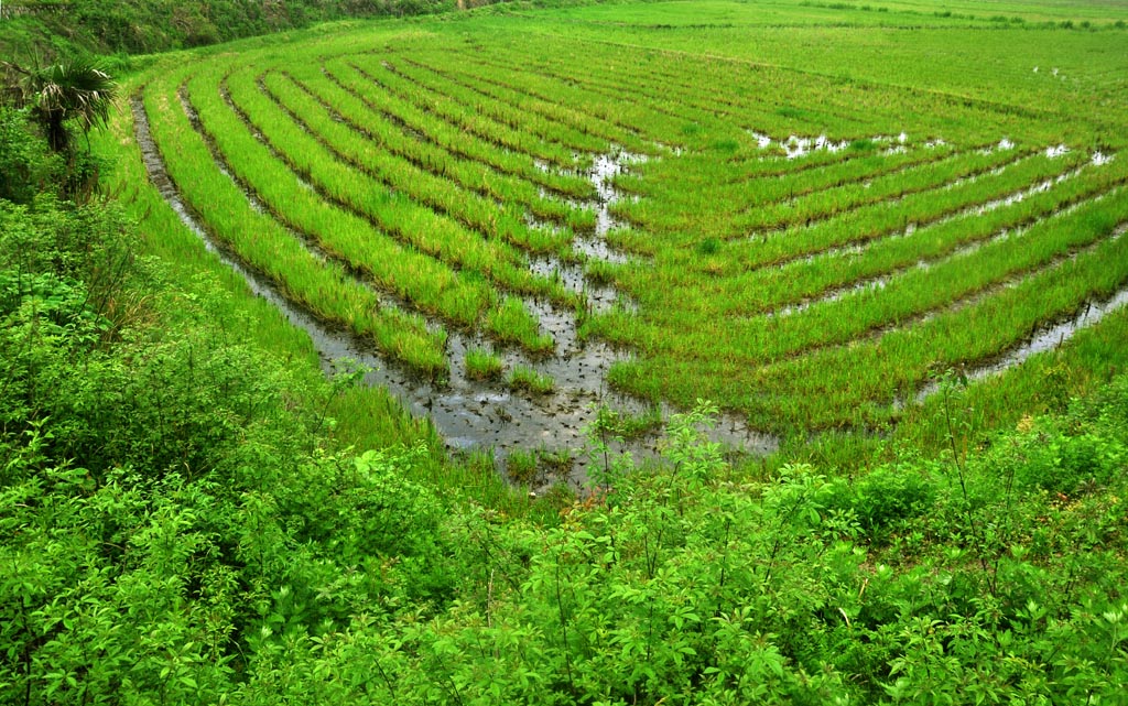 山田 摄影 阿江