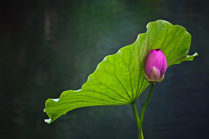 相依 摄影 本溪秋雨