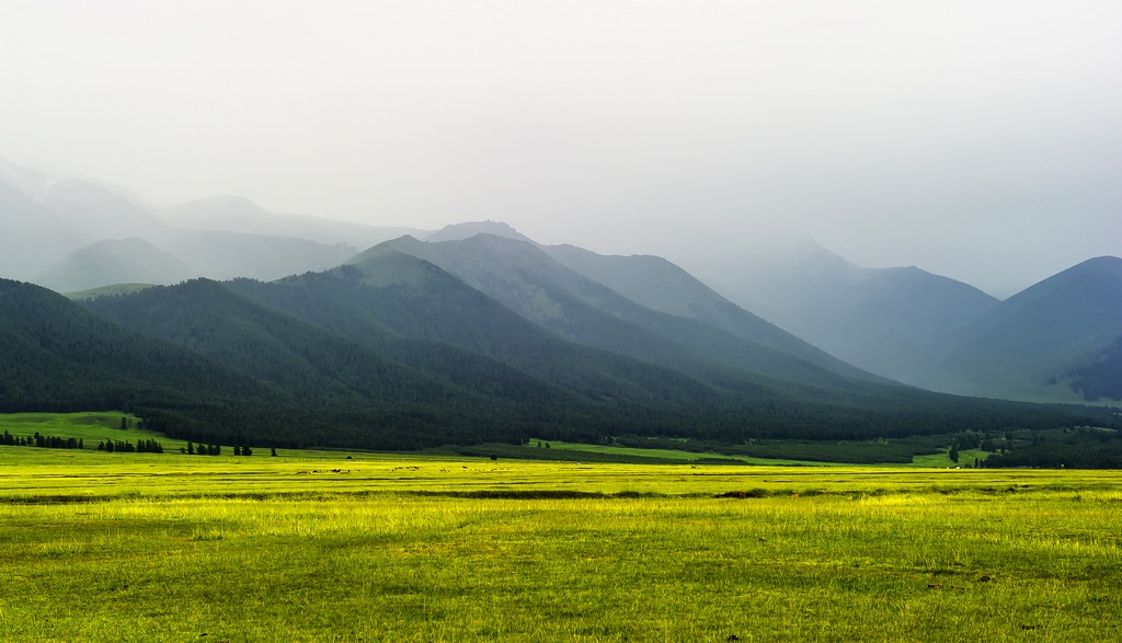 雾锁草原 摄影 乌龙