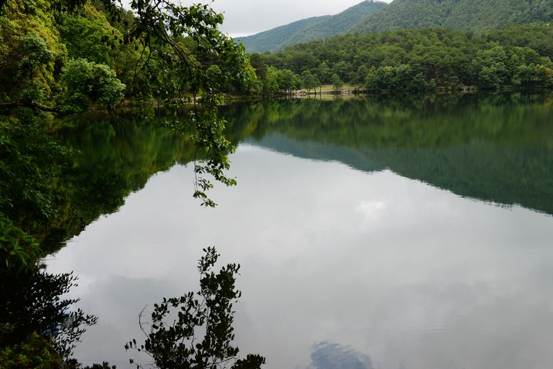 夏日彝海06 摄影 恒然