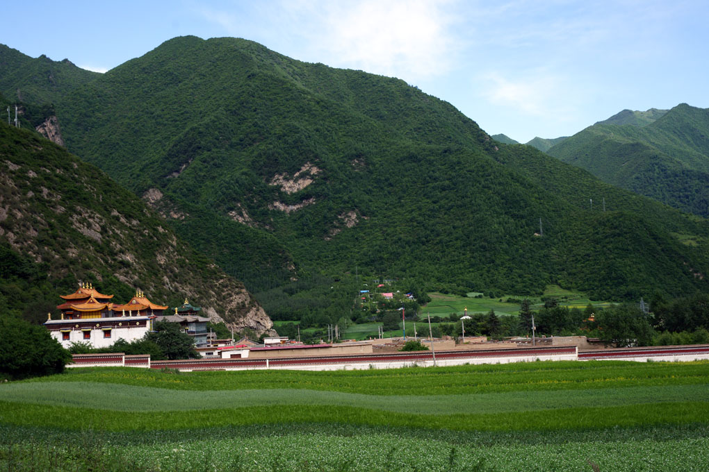 夏河拉卜楞寺--绿波禅院 摄影 秋天的叶