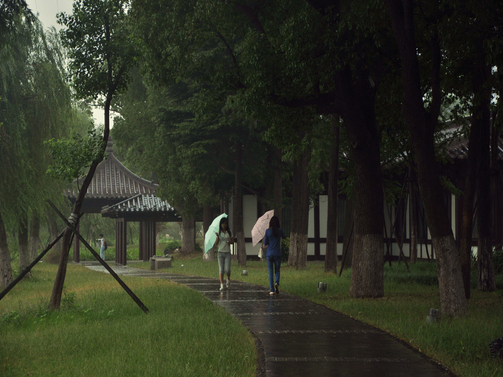 玄武湖(7)雨中即景 摄影 秋天的玫瑰