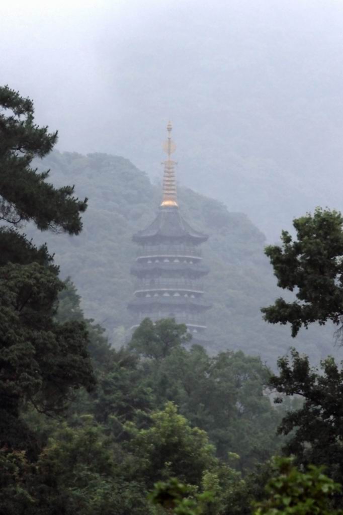 烟雨迷雾中的天童寺塔 摄影 旷海山