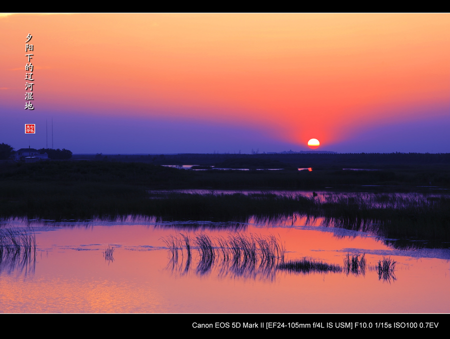 《探寻辽河》4--- 夕阳下的辽河湿地 摄影 七色光2008