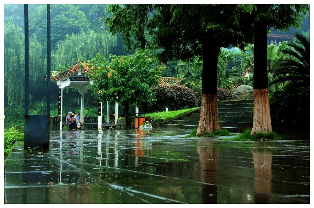 在雨中...... 摄影 三江水