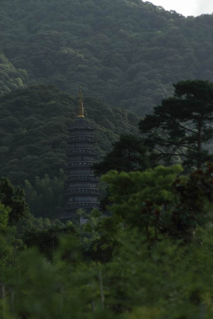 天童寺塔 摄影 旷海山