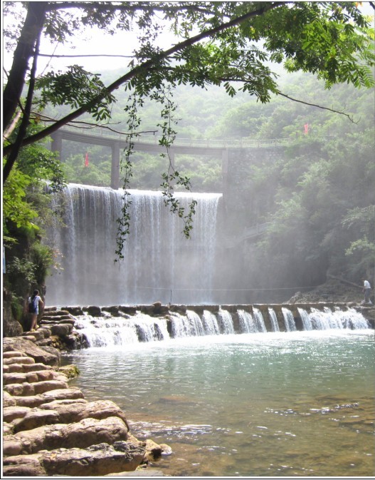 沿途风景 摄影 清晨的露珠