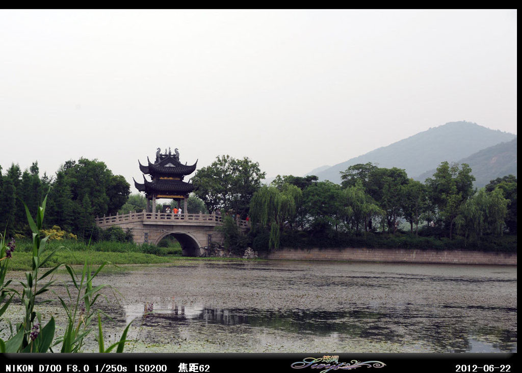 城市的天然氧吧-湿地公园 摄影 筠阗