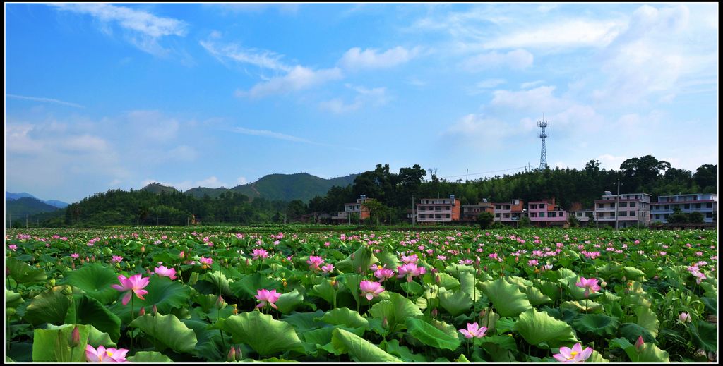 石城风光 摄影 田园笛声