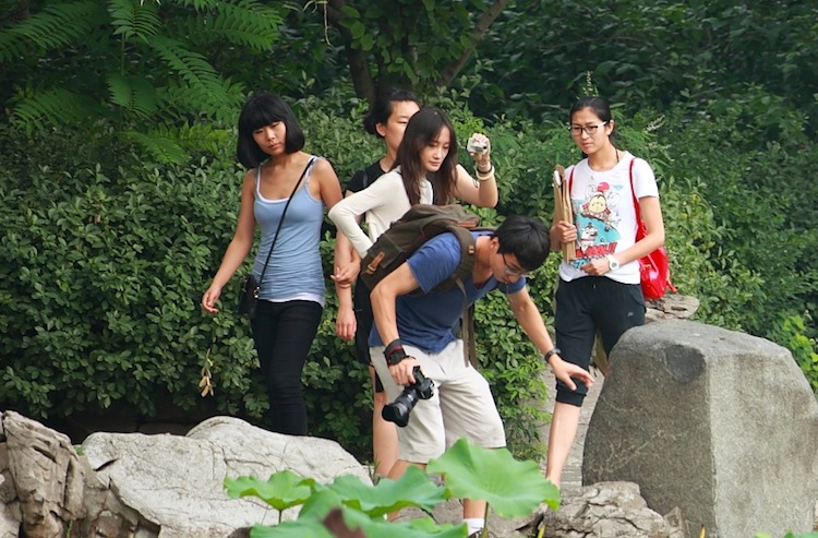 池塘边 摄影 秀水青山