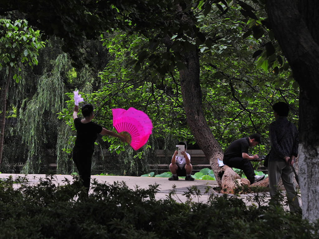 晨练 摄影 小小学徒