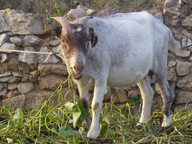 无题 摄影 mahongxia