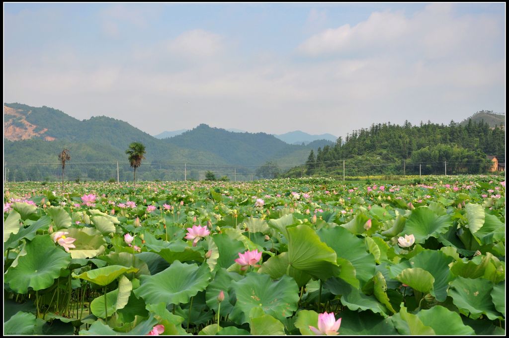 石城风光 摄影 田园笛声