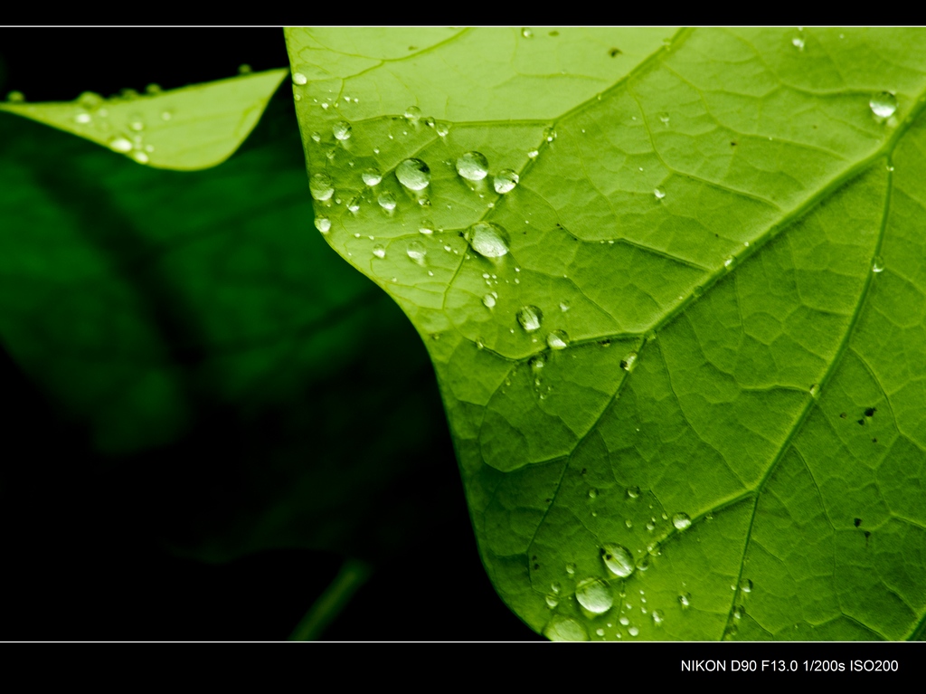 叶韵 摄影 伽蓝夜雨