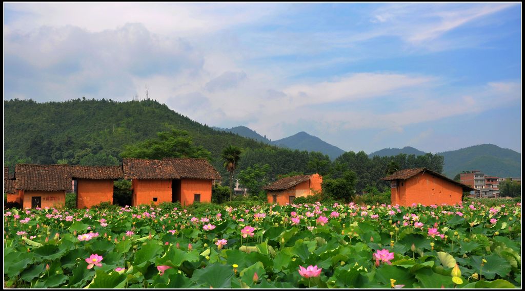 石城风光 摄影 田园笛声