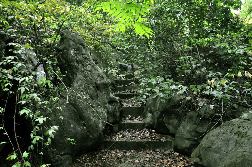 山路 摄影 阿江