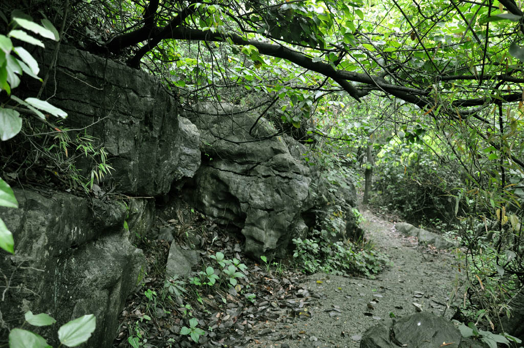 山路 摄影 阿江