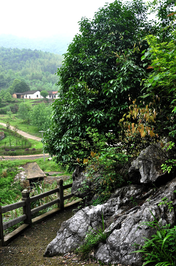 山路 摄影 阿江