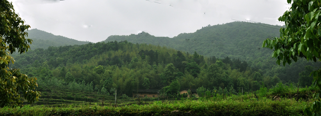 隐居 摄影 阿江