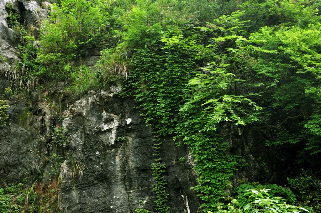 山里 摄影 阿江