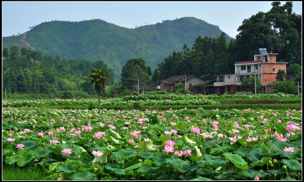 石城风光 摄影 田园笛声