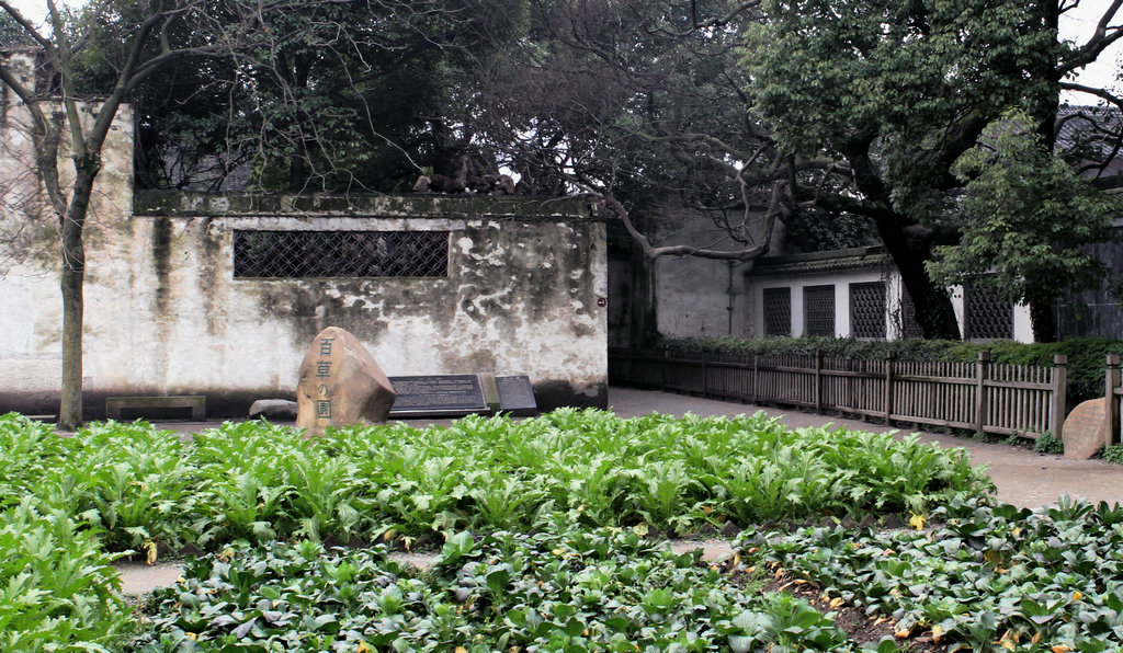 百草园 摄影 休闲摄猎